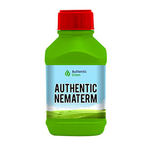 authentic-nematerm