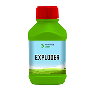 exploder