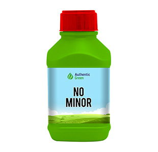 no-minor