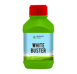 white-buster